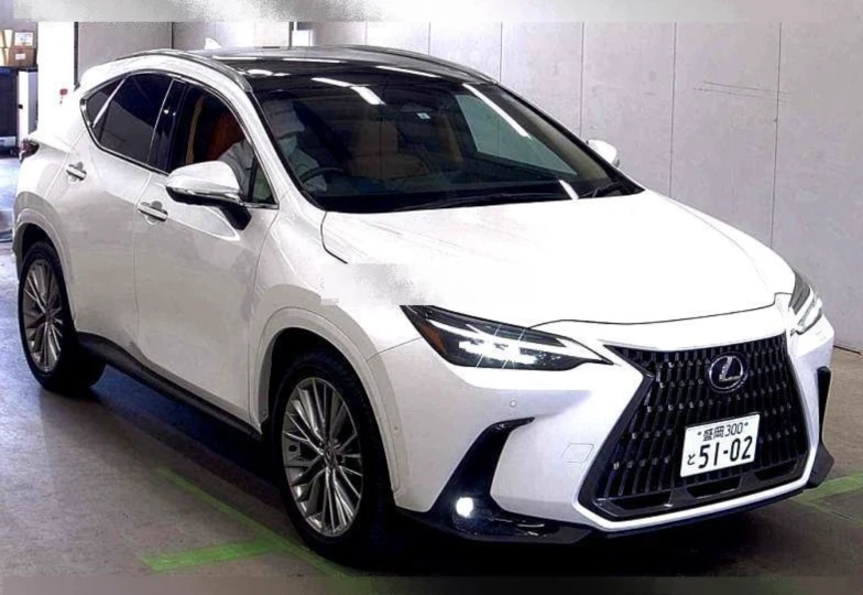 Lexus NX 350h, 2023 - 0