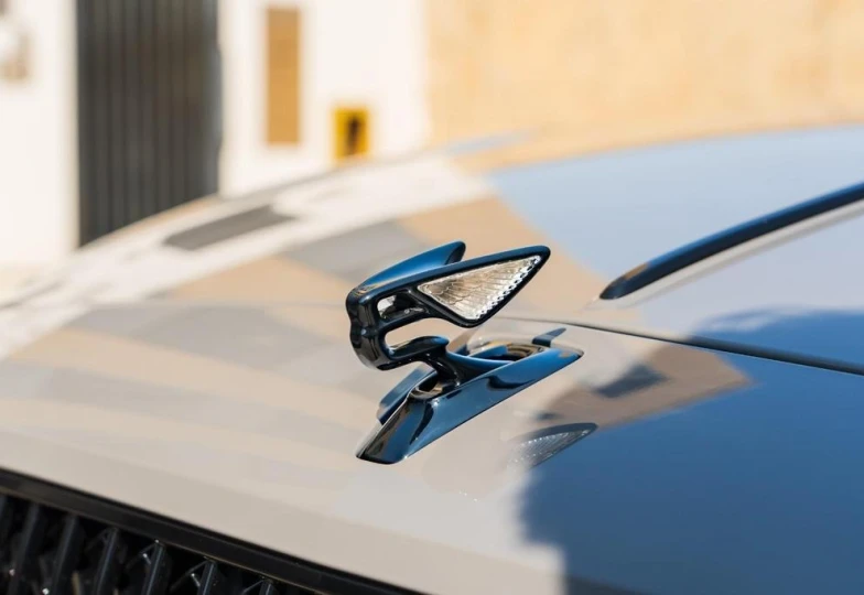 Bentley Flying Spur Azure, 2023 - 34