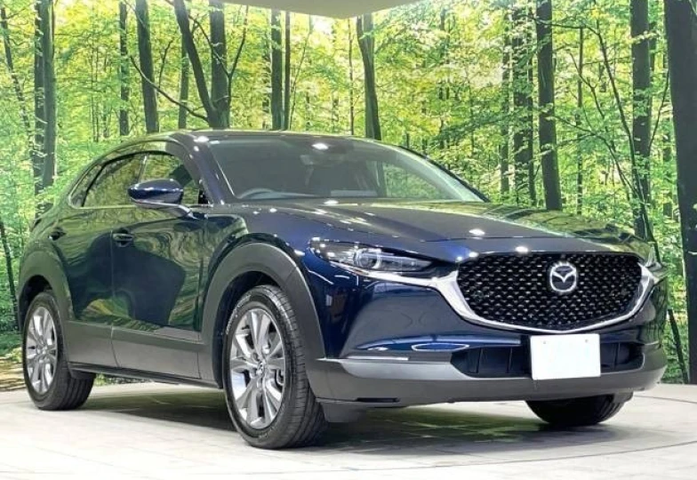 Mazda CX-30 Синий