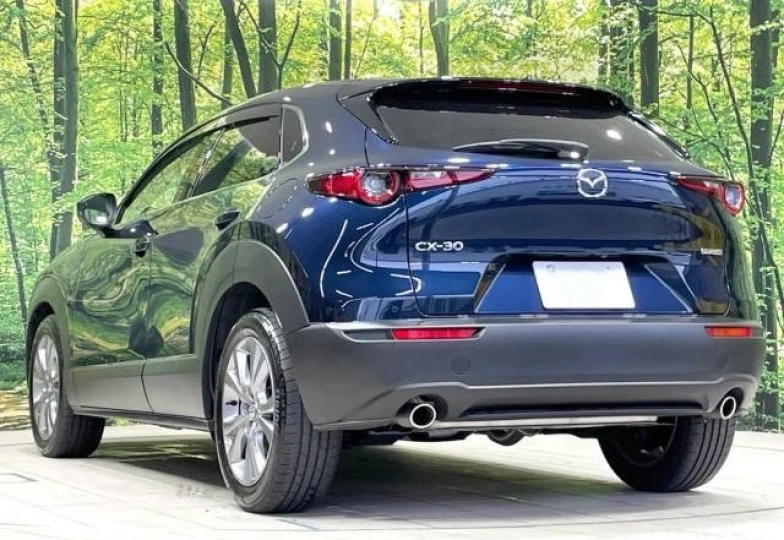 Mazda CX-30 Синий