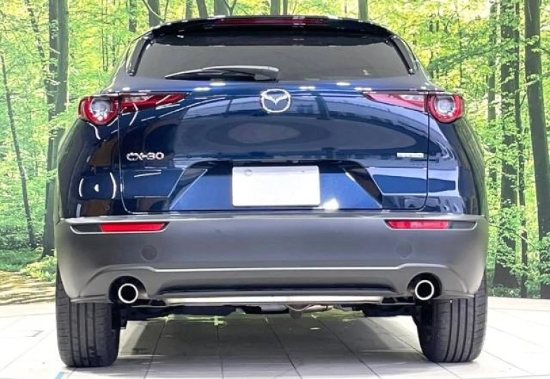 Mazda CX-30 Синий