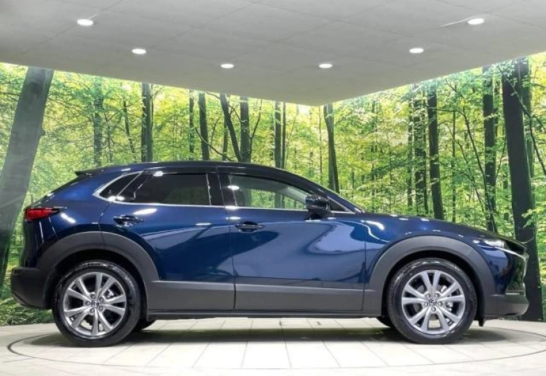 Mazda CX-30 Синий