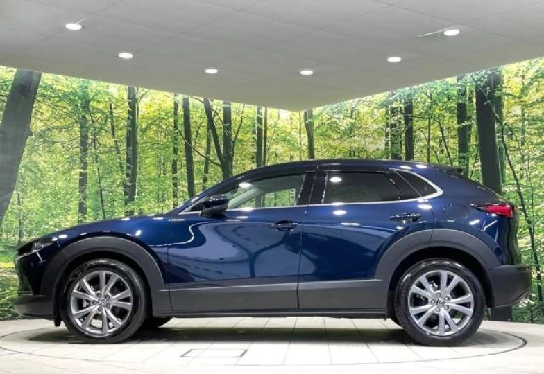 Mazda CX-30 Синий