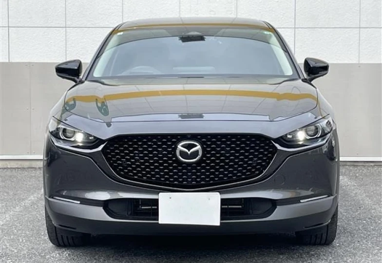 Mazda CX-30 Серый