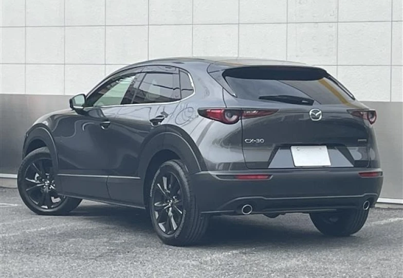 Mazda CX-30 Серый