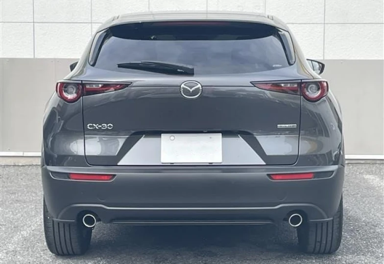 Mazda CX-30 Серый