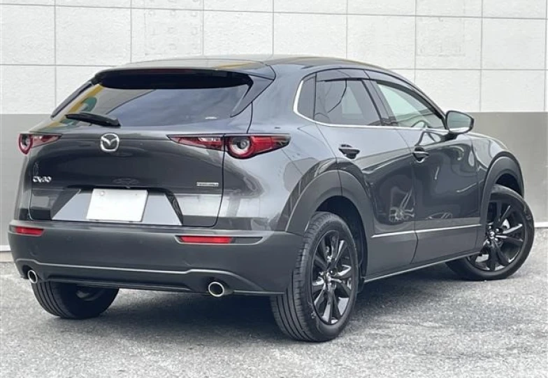 Mazda CX-30 Серый