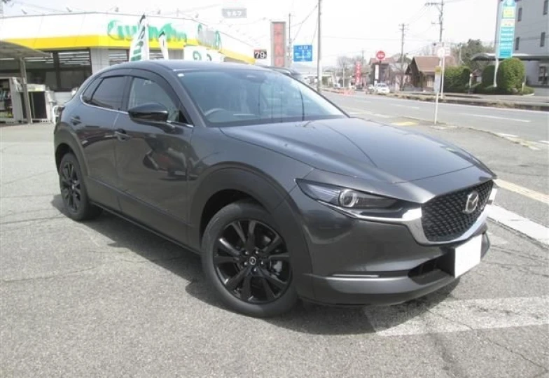 Mazda CX-30 Серый
