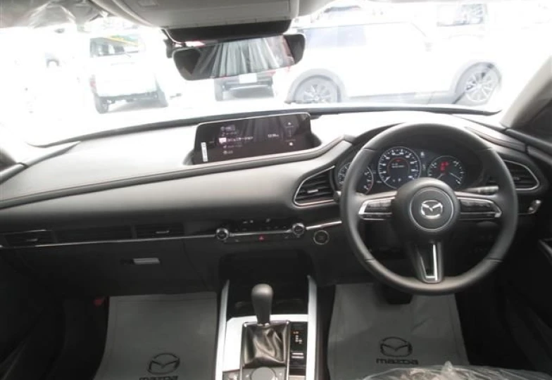 Mazda CX-30 Серый