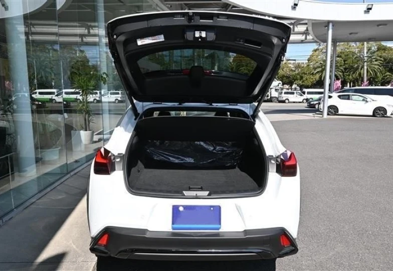 Lexus UX Белый