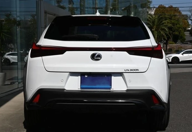 Lexus UX Белый