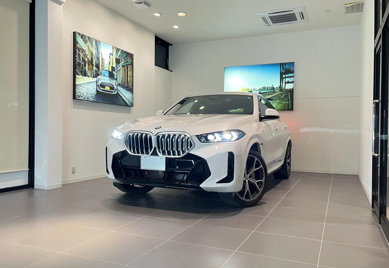 BMW X6 35d, 2024 - 4