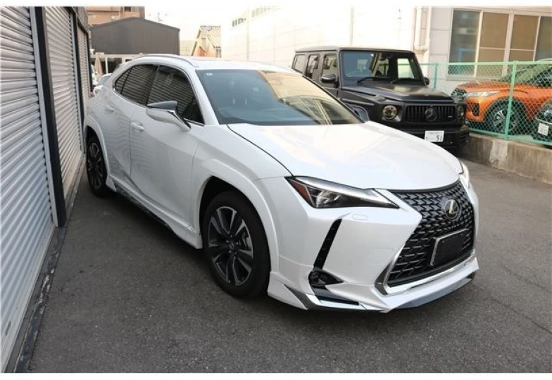 Lexus UX Белый