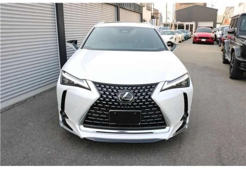 Lexus UX Белый