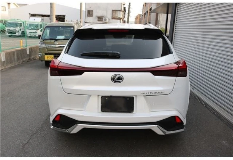 Lexus UX Белый