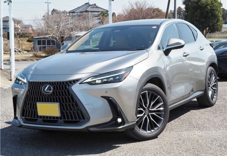 Lexus NX Серый