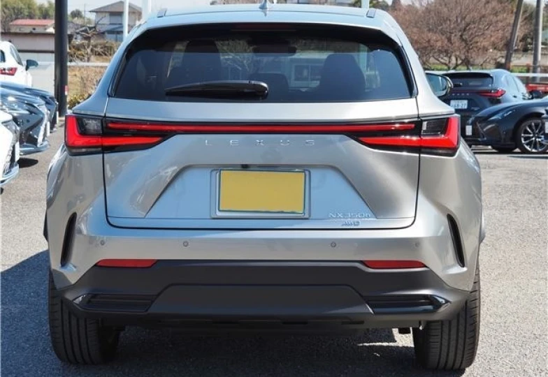 Lexus NX Серый