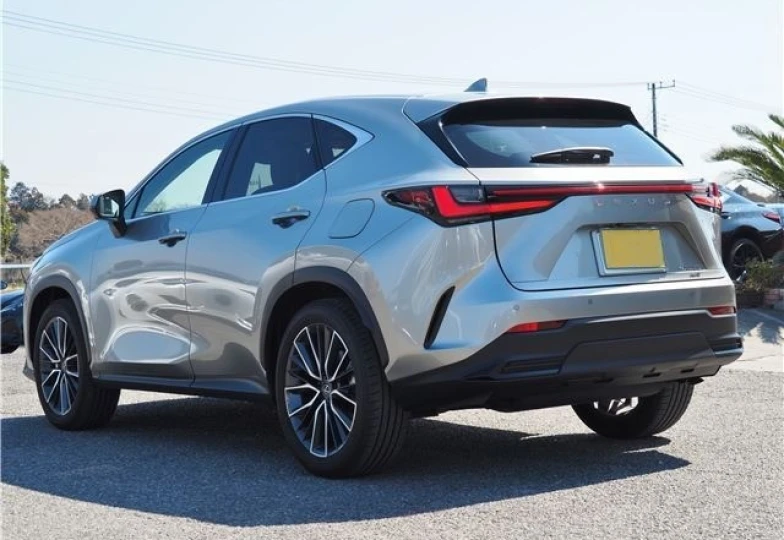 Lexus NX Серый