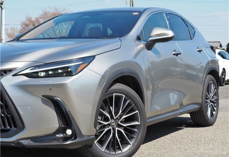 Lexus NX Серый