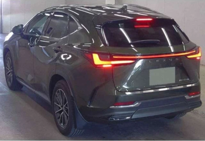 Lexus NX Зеленый