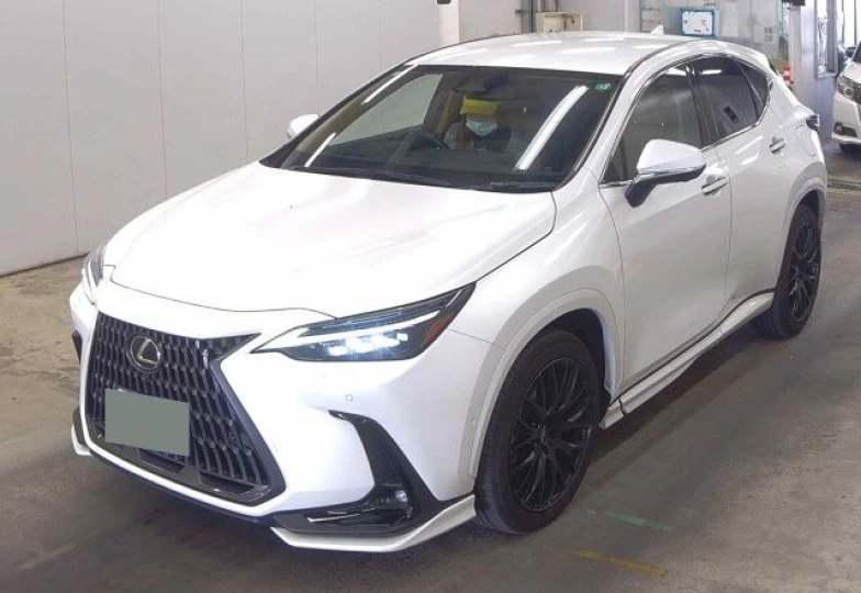 Lexus NX Белый