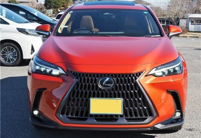 Lexus NX Красный
