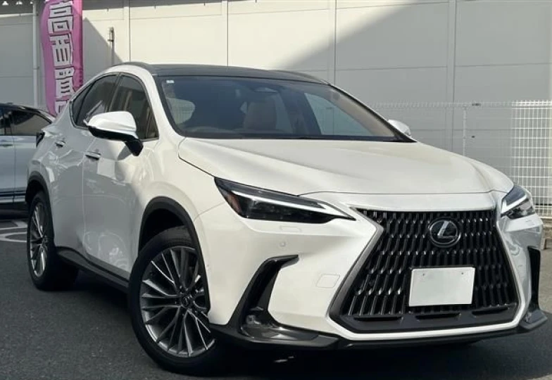 Lexus NX Белый