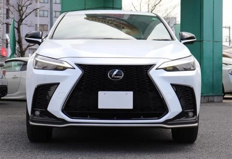 Lexus NX Белый
