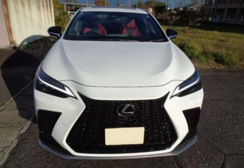 Lexus NX Белый