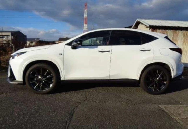Lexus NX Белый