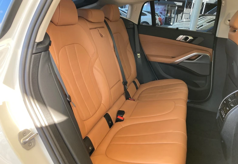 BMW X6 35d, 2021 - 24