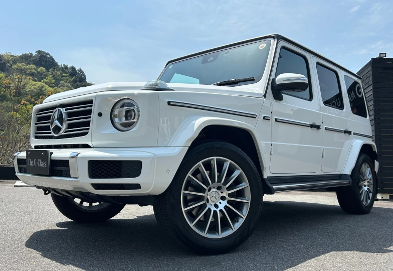 Mercedes G-class Белый
