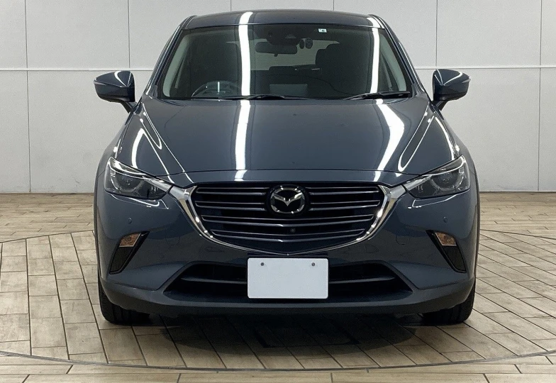 Mazda CX-3 Серый