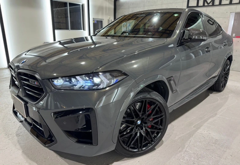 BMW X6 M Серый