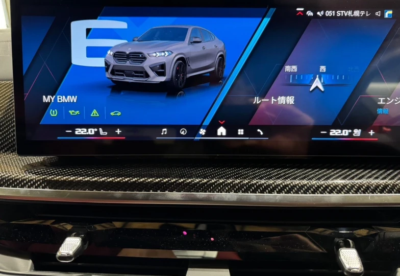 BMW X6 M Серый