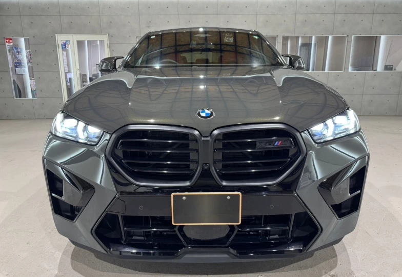 BMW X6 M Серый