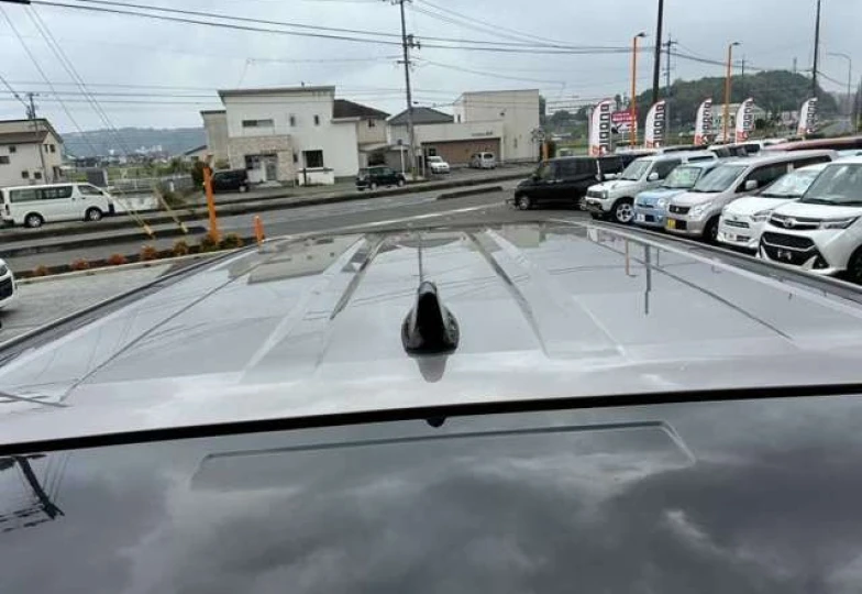 Toyota Land Cruiser 250 Серый
