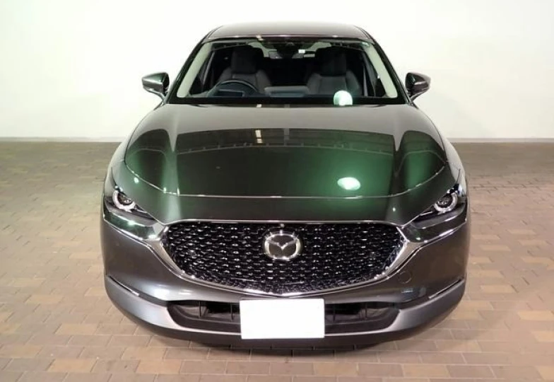 Mazda CX-30 Grey
