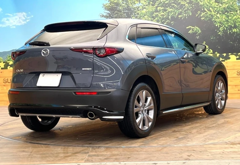 Mazda CX-30 Grey