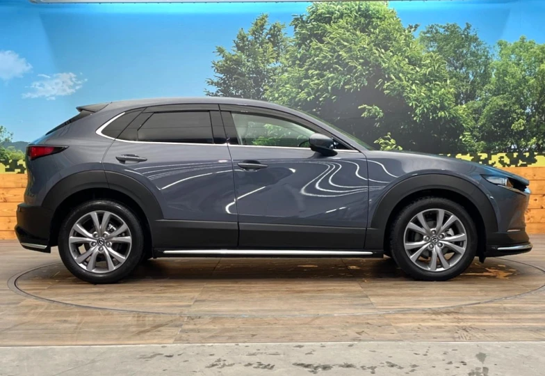 Mazda CX-30 Grey