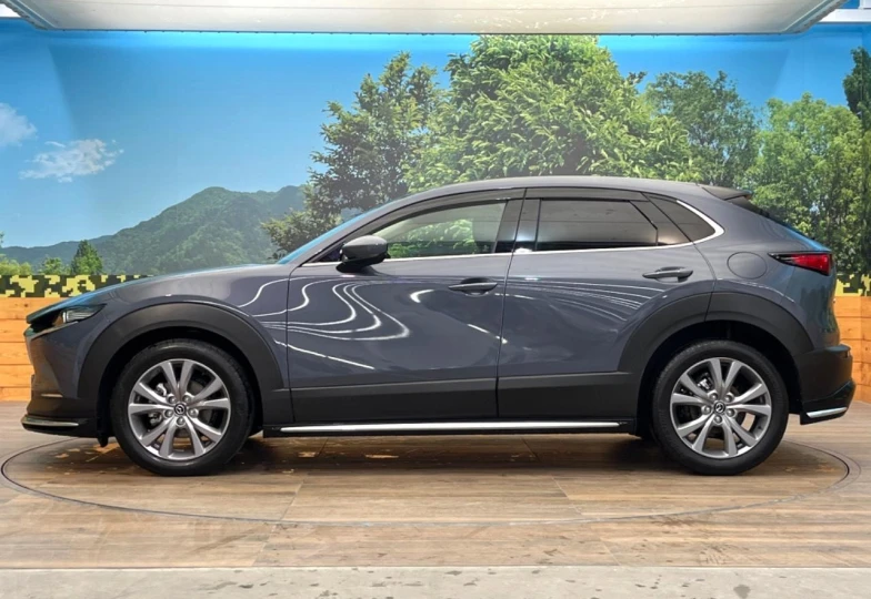 Mazda CX-30 Grey