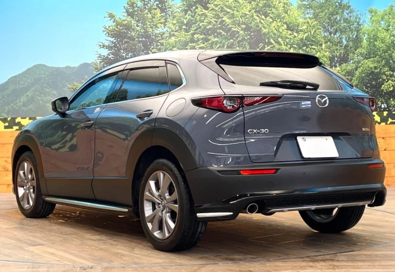 Mazda CX-30 Grey