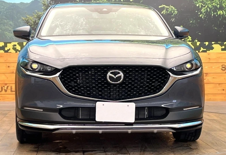 Mazda CX-30 Grey