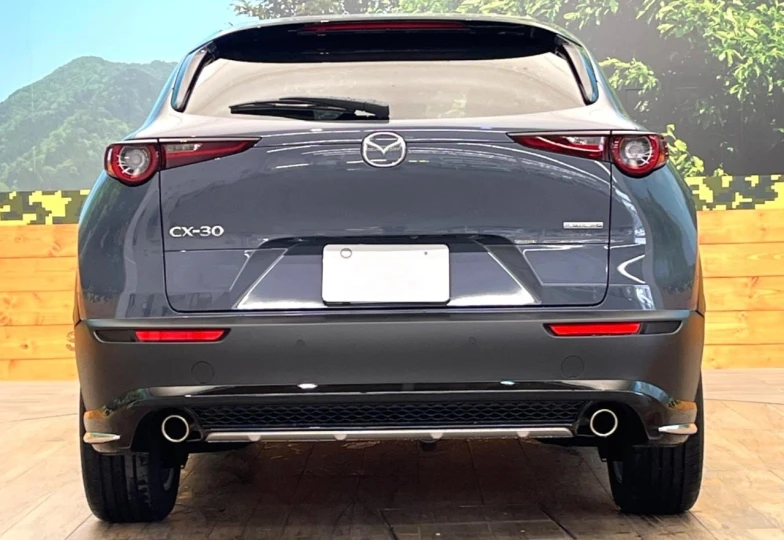 Mazda CX-30 Grey