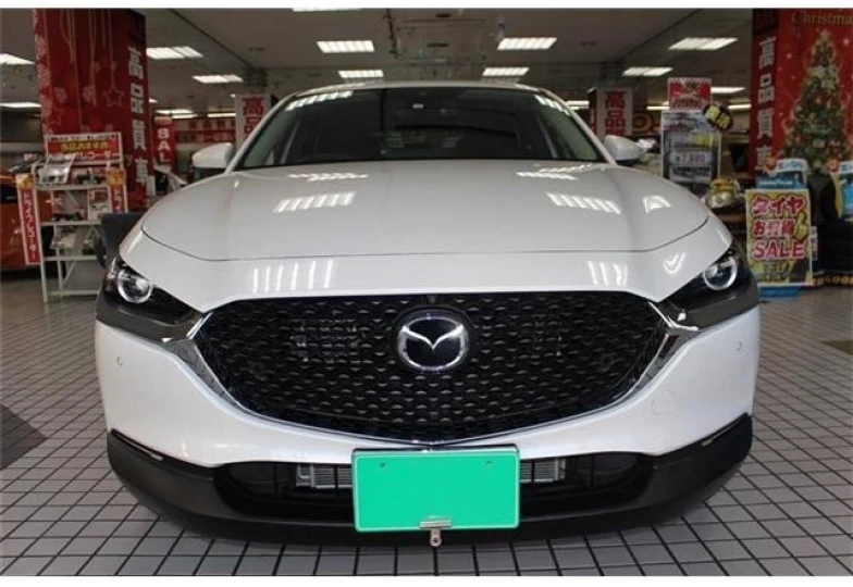 Mazda CX-30 White