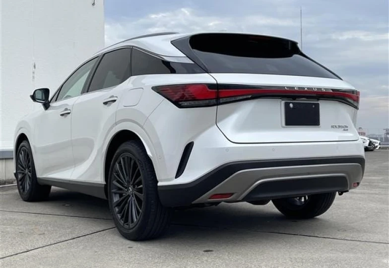 Lexus RX White