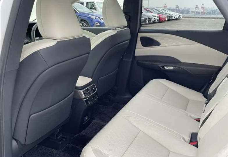 Lexus RX White