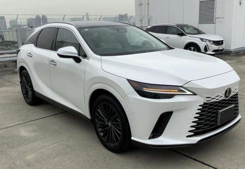 Lexus RX White