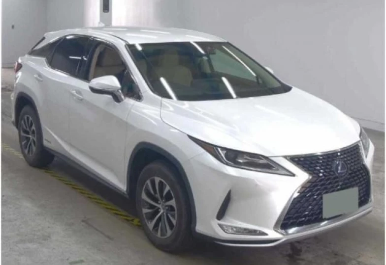 Lexus RX White