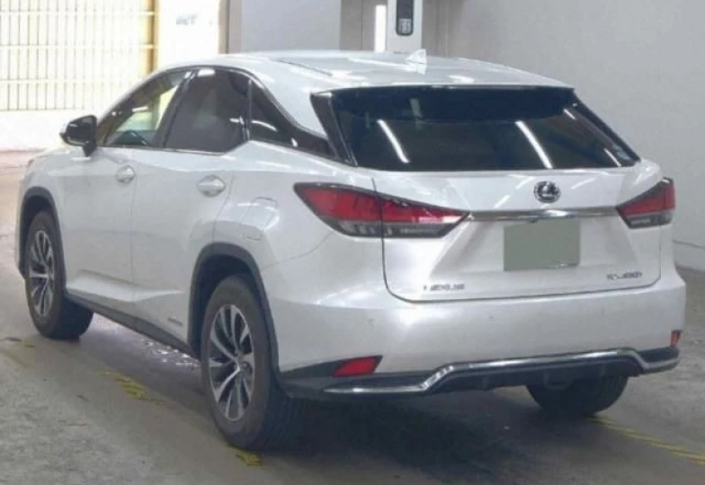 Lexus RX White